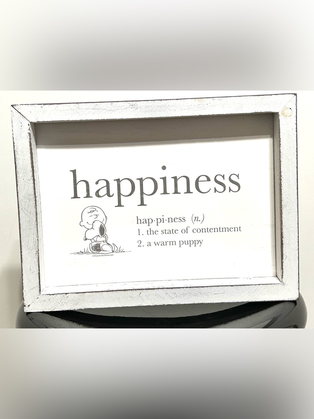 Open Road Brand Charlie Brown & Snoopy Sign in Rustic Frame